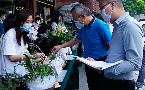 麗芳園林園藝康養(yǎng)盆栽競(jìng)賽圓滿(mǎn)舉辦，現(xiàn)場(chǎng)精彩繽紛~