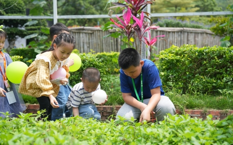 活動(dòng)預(yù)告 | 這個(gè)夏天，多場(chǎng)自然教育活動(dòng)將在麗芳園林園藝康養(yǎng)科普基地精彩上演