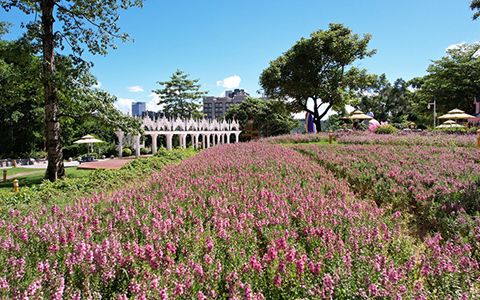 麗芳園林東莞龍鳳山莊養(yǎng)護(hù)項(xiàng)目獲得客戶(hù)高度肯定